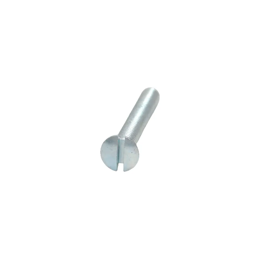 Linsenschraube M6x45, Ersatzteil für den Puch Z50 Motor